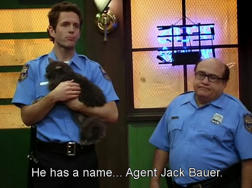 Is+that+cat+agent+jack+bauer+or+is+it+a+_9c06995685040d6f5f5a679df7e8c10d